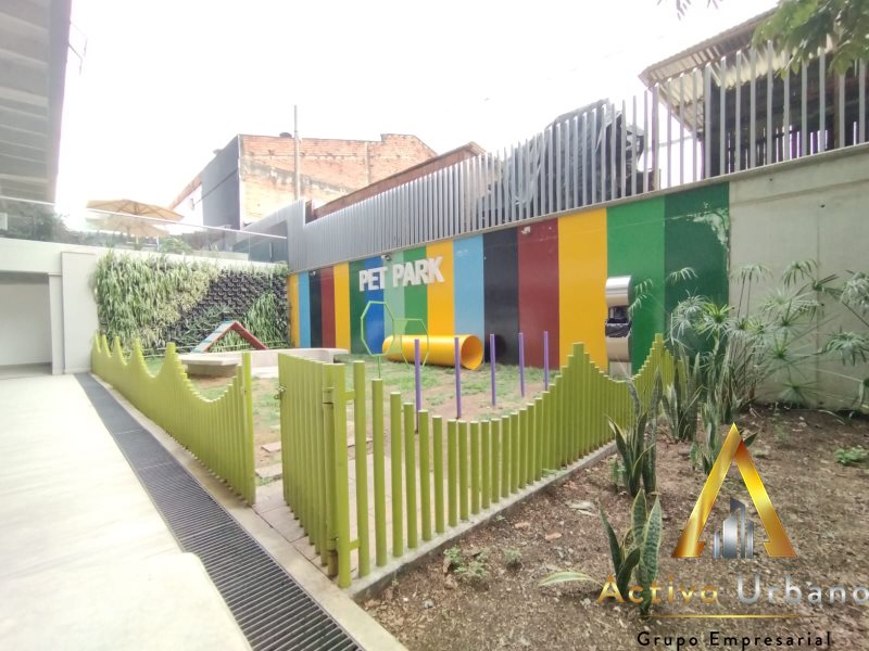 foto_104227_901271444_3630187592_ss