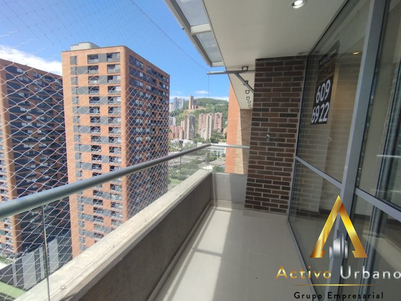 foto_104581_901271444_7978867888_ss