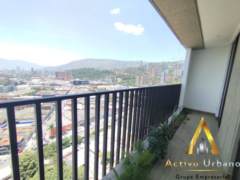 foto_104581_901271444_8399713823_ss