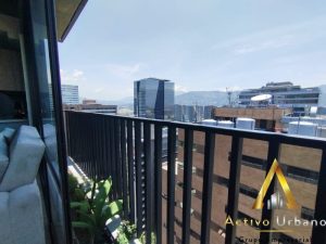 foto_104581_901271444_8406713403_ss