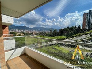 foto_104586_901271444_1258268821_ss