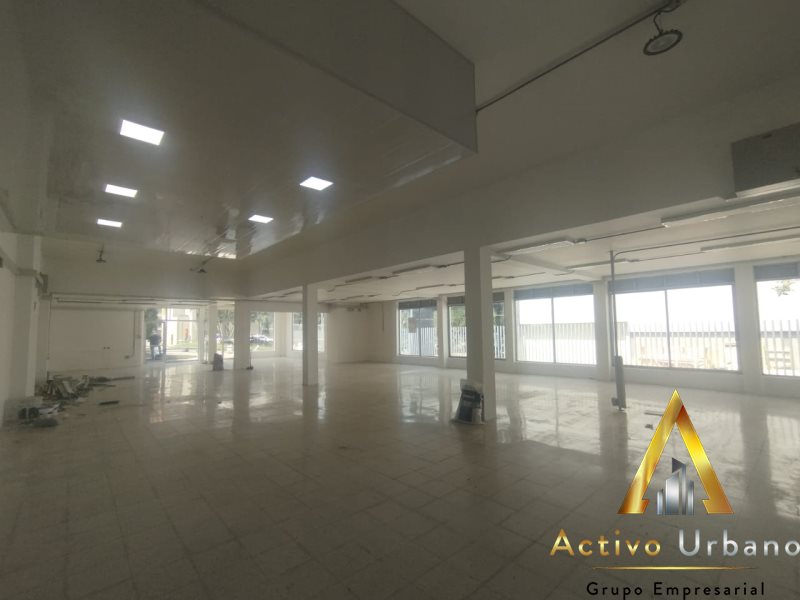 foto_104586_901271444_1966885763_ss