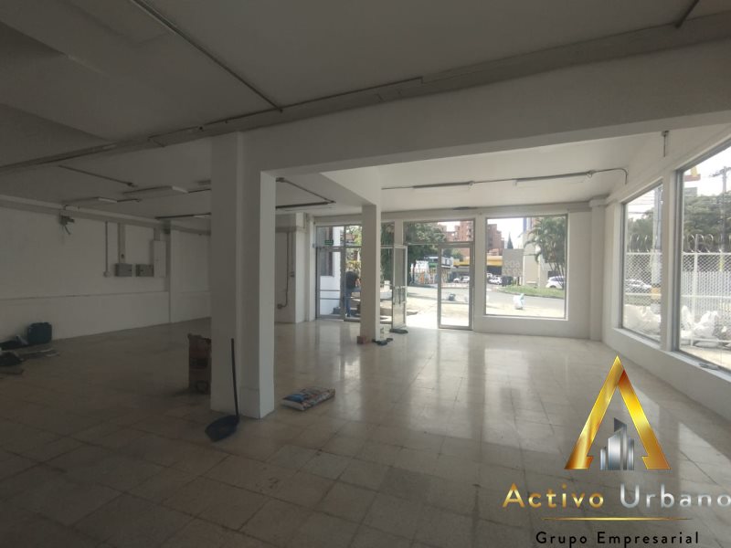 foto_104586_901271444_1991181311_ss