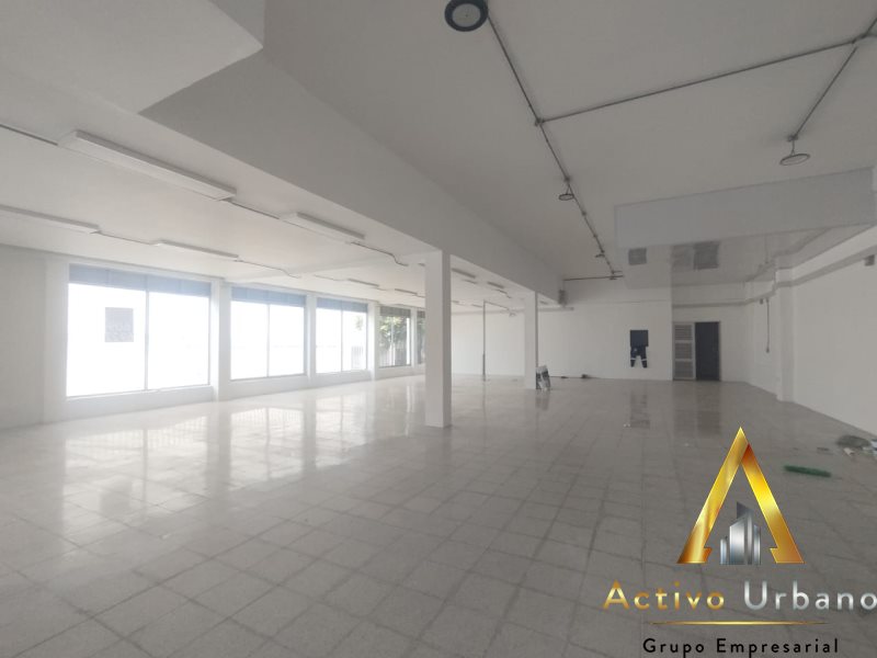 foto_104586_901271444_1995146489_ss