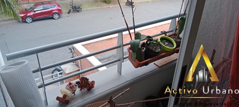 foto_104586_901271444_3899469703_ss