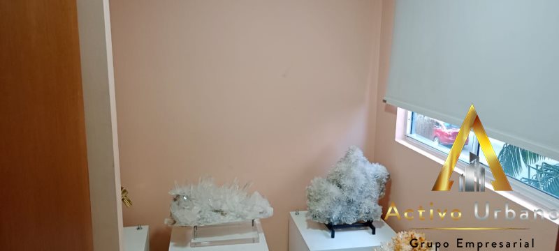 foto_104586_901271444_3916303882_ss