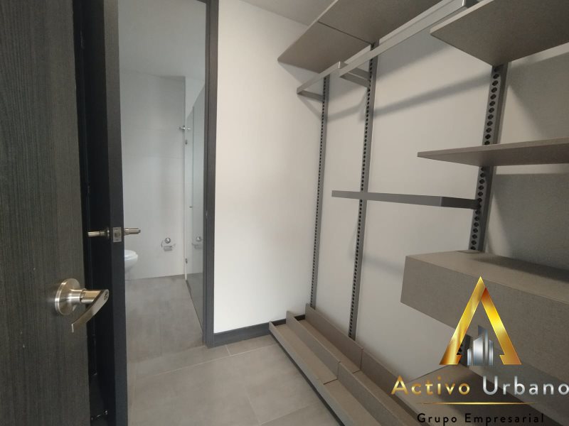 foto_104586_901271444_8204576121_ss