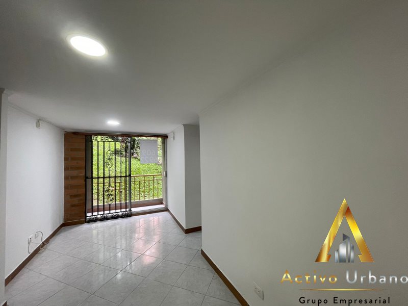 foto_104782_901271444_1486919944_ss