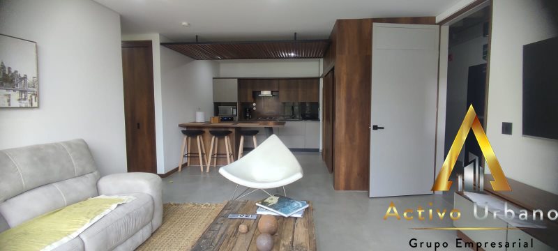 foto_104782_901271444_2925019729_ss