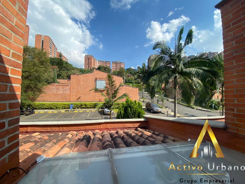 foto_104782_901271444_3205630045_ss