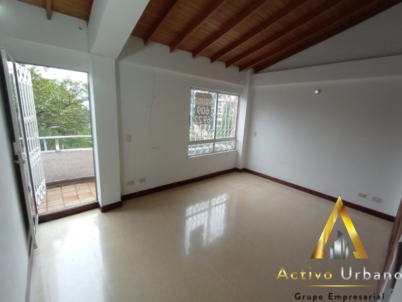 foto_104782_901271444_3706608138_ss