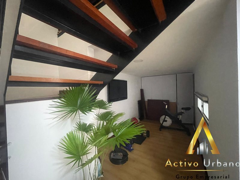 foto_104782_901271444_4269064194_ss