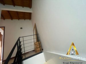 foto_104782_901271444_4313831696_ss