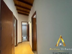 foto_104782_901271444_4314417142_ss