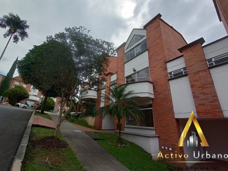 foto_104782_901271444_4342647462_ss