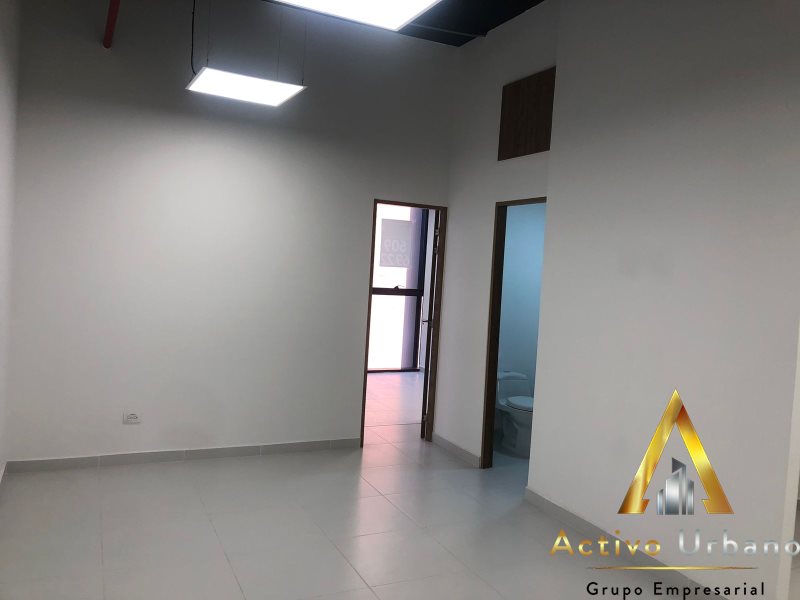 foto_104782_901271444_6070739505_ss