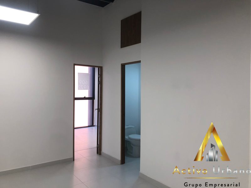 foto_104782_901271444_6090717033_ss