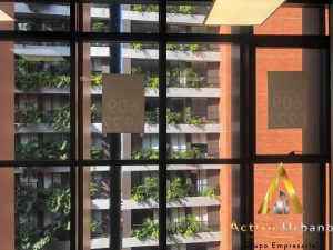 foto_104782_901271444_6122233641_ss