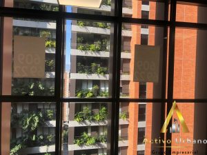 foto_104782_901271444_6129666659_ss