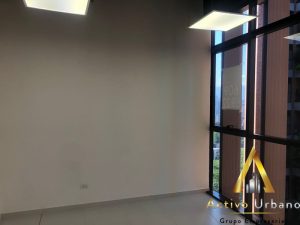 foto_104782_901271444_6132966912_ss