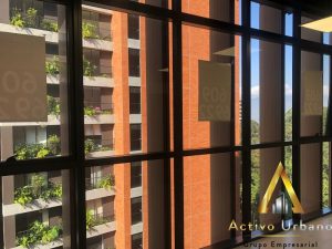 foto_104782_901271444_6137597846_ss