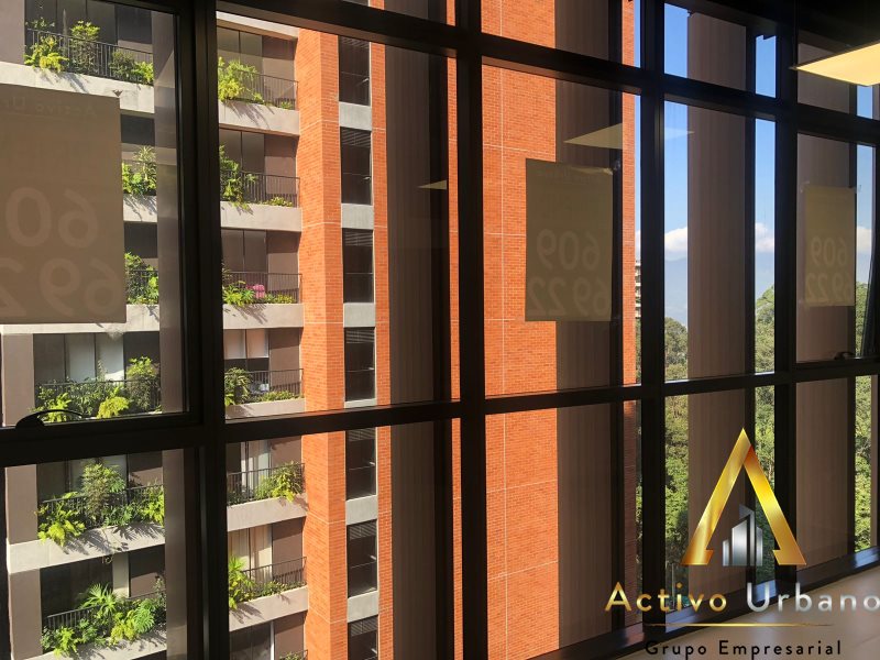 foto_104782_901271444_6137597846_ss