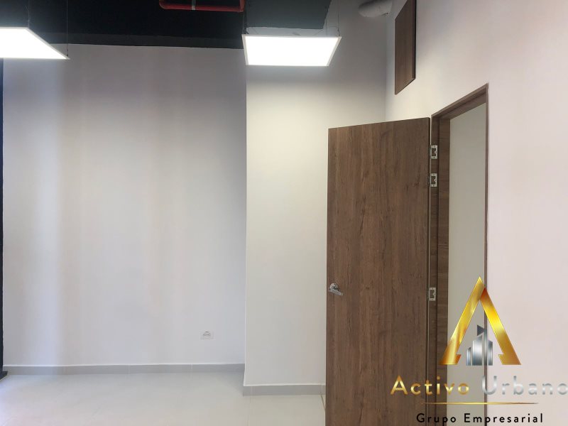 foto_104782_901271444_6139702945_ss