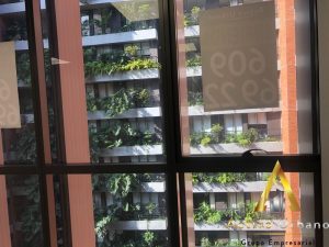 foto_104782_901271444_6147904619_ss