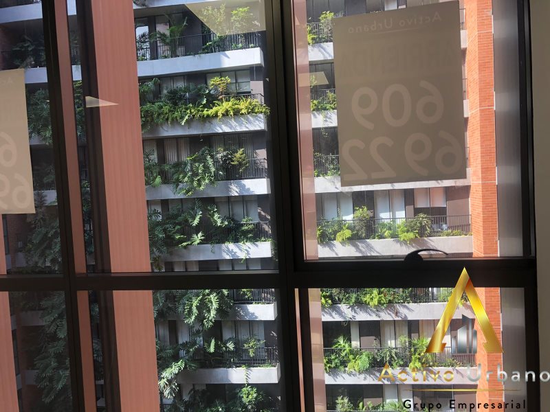 foto_104782_901271444_6147904619_ss