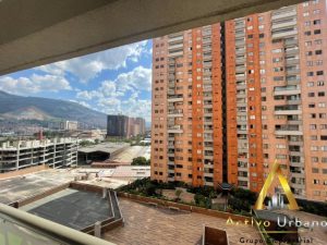 foto_104782_901271444_6605077224_ss