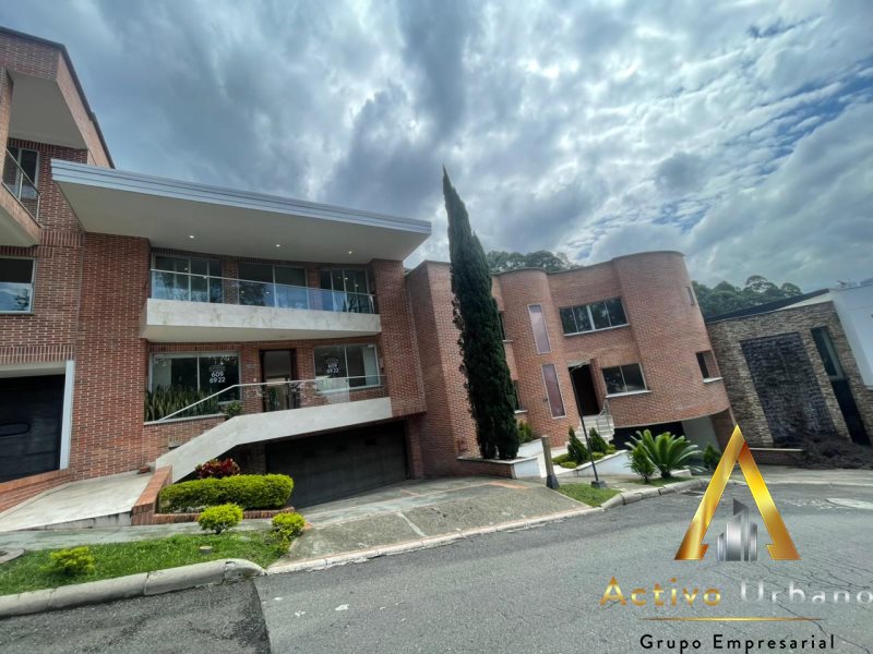 foto_104782_901271444_7539418190_ss