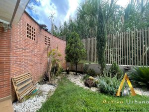 foto_104782_901271444_7604739785_ss