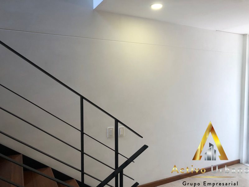 foto_104782_901271444_8321439341_ss