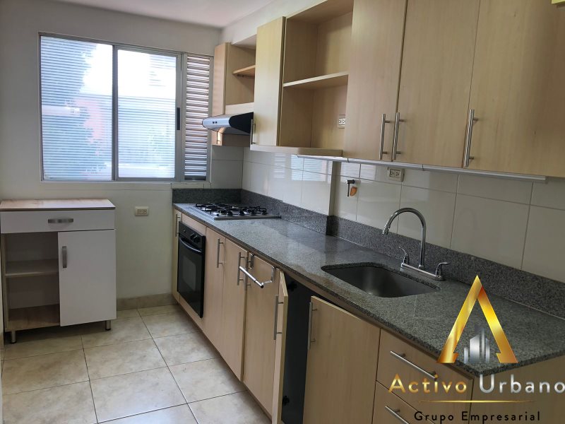 foto_104782_901271444_8347799616_ss