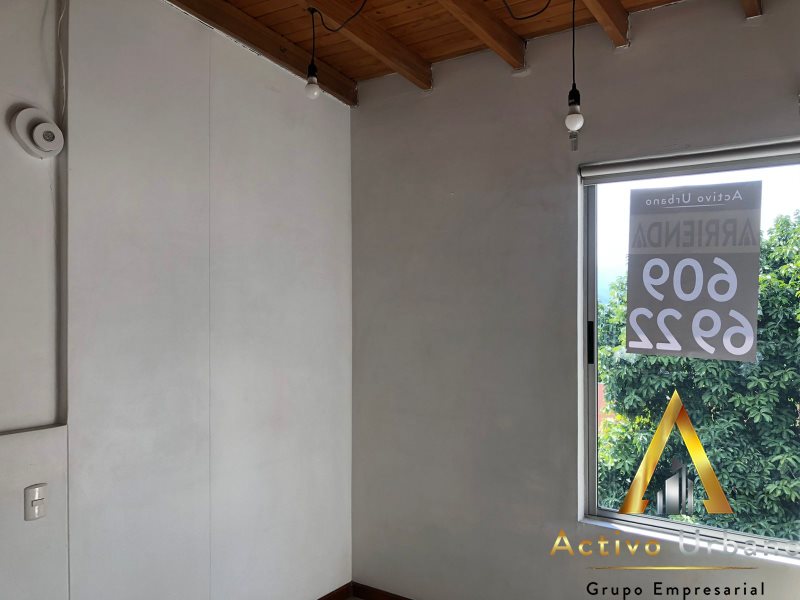 foto_104782_901271444_8372261620_ss