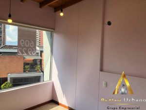 foto_104782_901271444_8381193451_ss