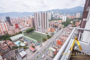 foto_104782_901271444_8578150403_ss