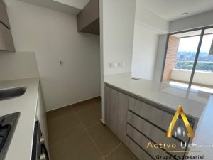 foto_104782_901271444_8781128504_ss