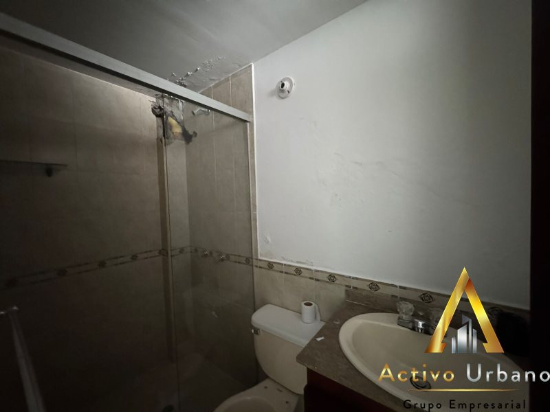 foto_104586_901271444_9068611054_ss