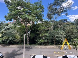 foto_104586_901271444_9096966530_ss