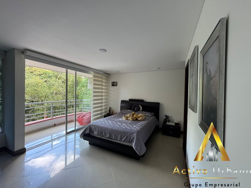 foto_104586_901271444_9100358737_ss