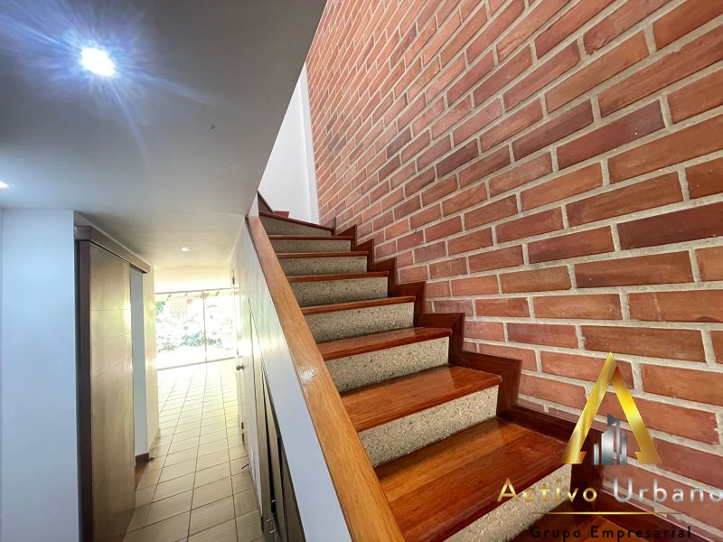 foto_104782_901271444_0274999651_ss