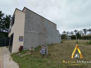 foto_104782_901271444_2053773228_ss