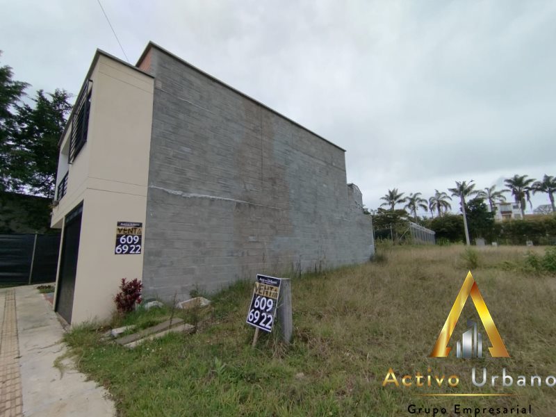 foto_104782_901271444_2053773228_ss