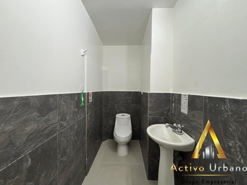 foto_104782_901271444_3269700503_ss