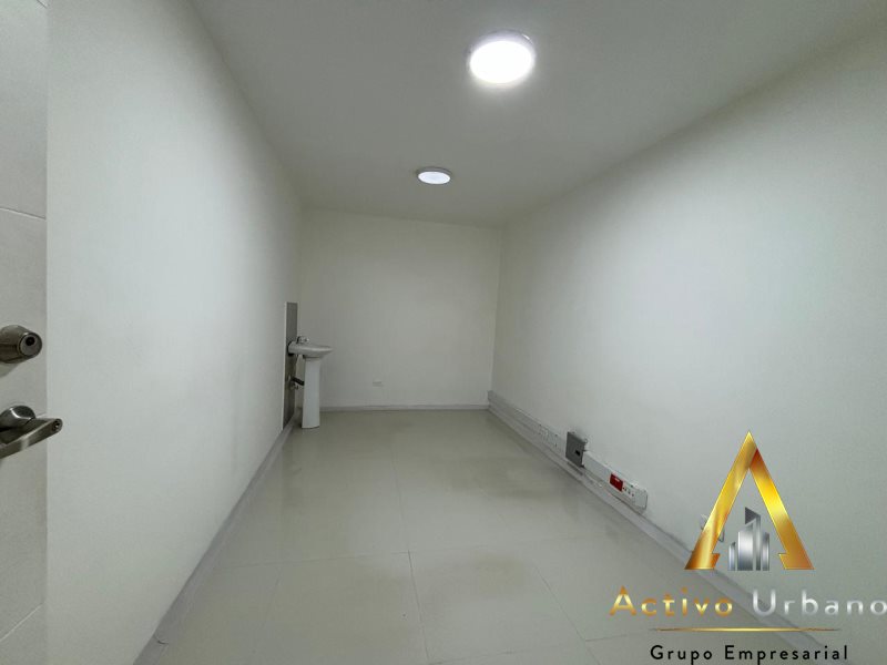 foto_104782_901271444_3311464360_ss