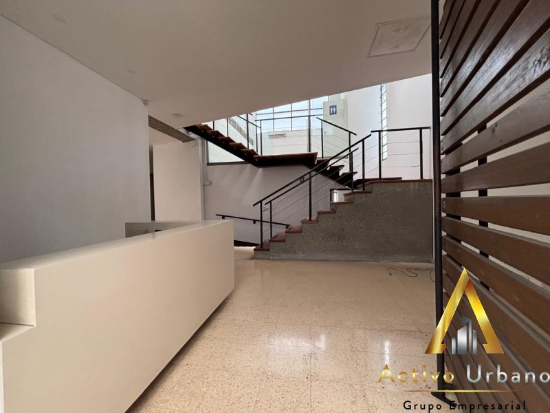 foto_104782_901271444_4968060167_ss