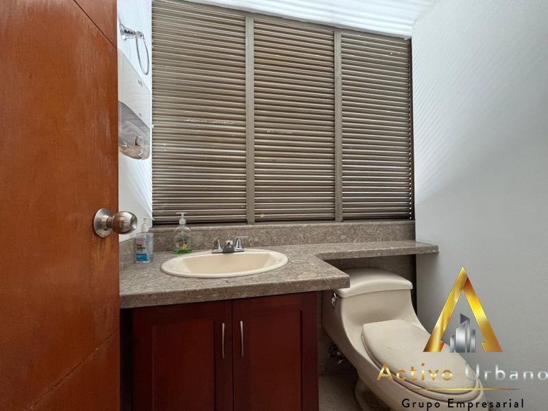 foto_104782_901271444_4981405181_ss