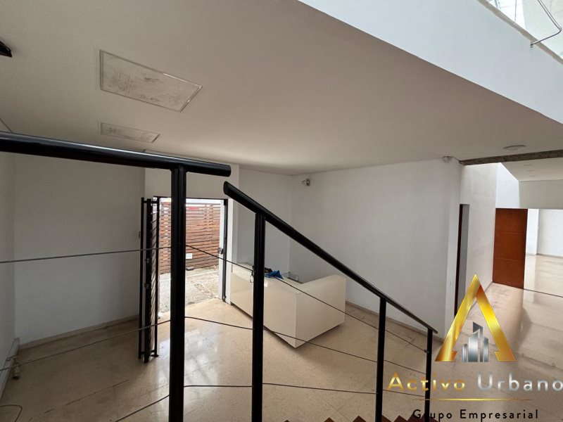 foto_104782_901271444_4995144983_ss