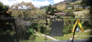 foto_104782_901271444_5119713772_ss